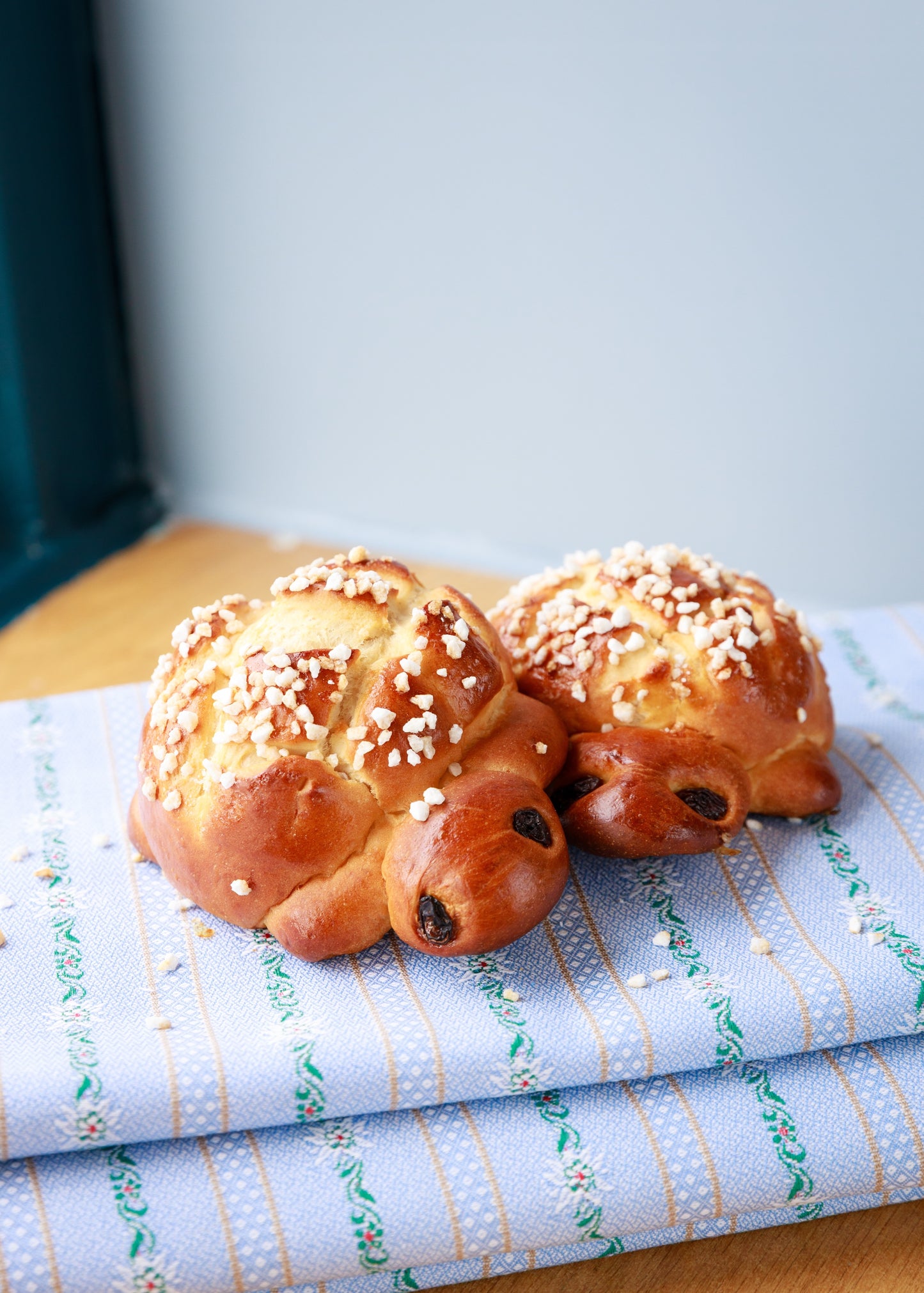 Brioche Turtle